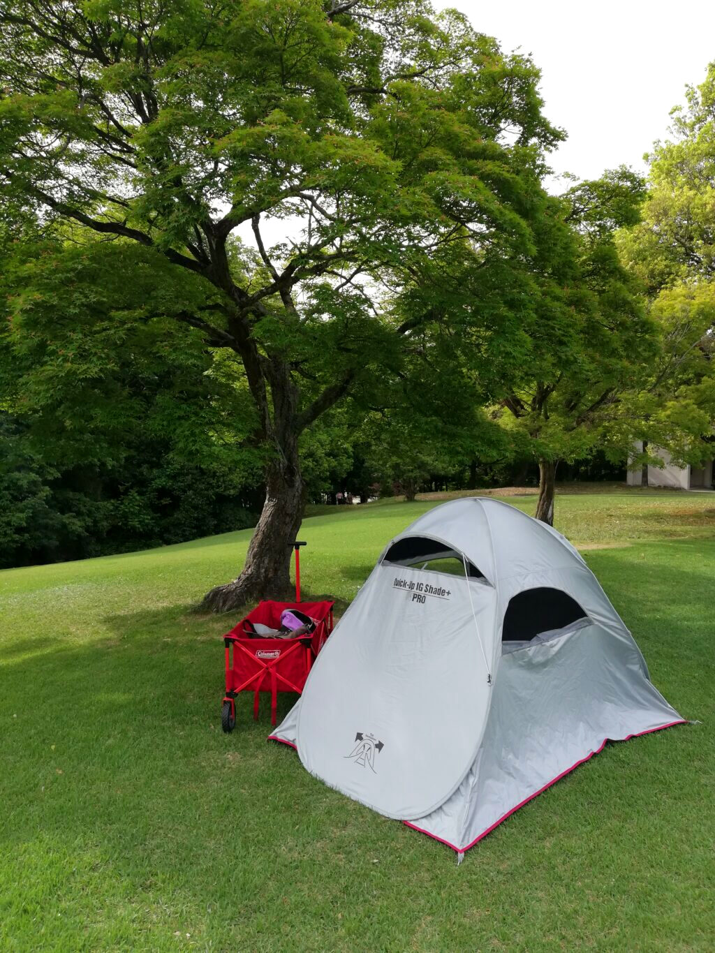 愛知県森林公園でテント張る