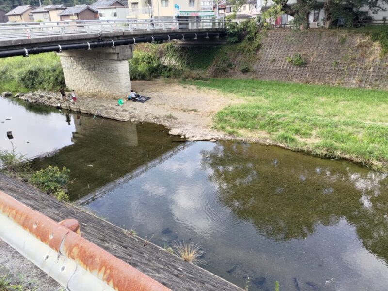 滋賀県彦根市で小鮎釣り