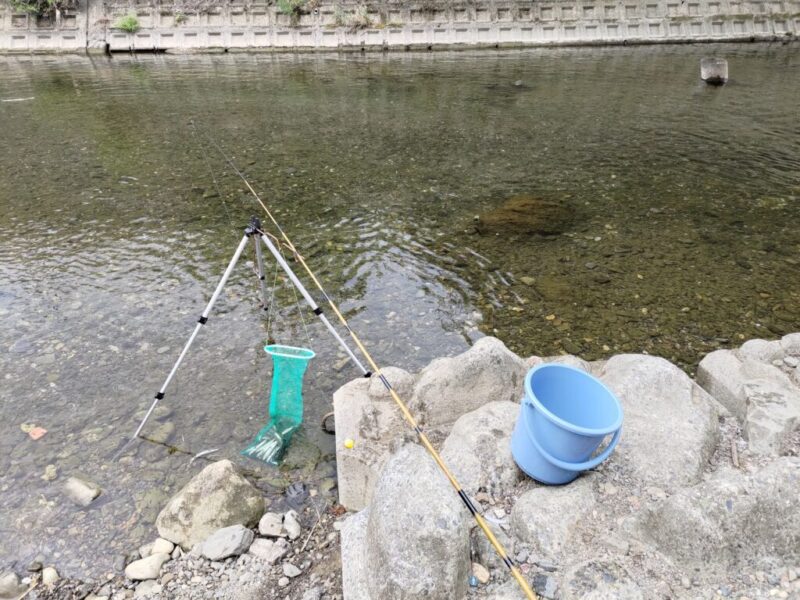 滋賀県彦根市で小鮎釣り